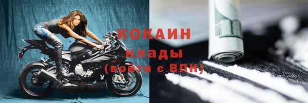 шишки Абаза