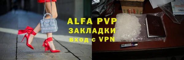 шишки Абаза