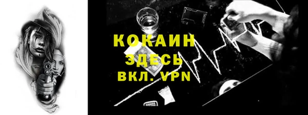 ГАЛЛЮЦИНОГЕННЫЕ ГРИБЫ Няндома