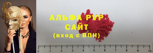 шишки Абаза