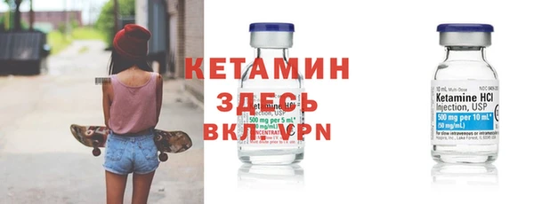 шишки Абаза