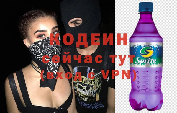 шишки Абаза
