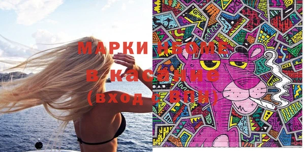 шишки Абаза